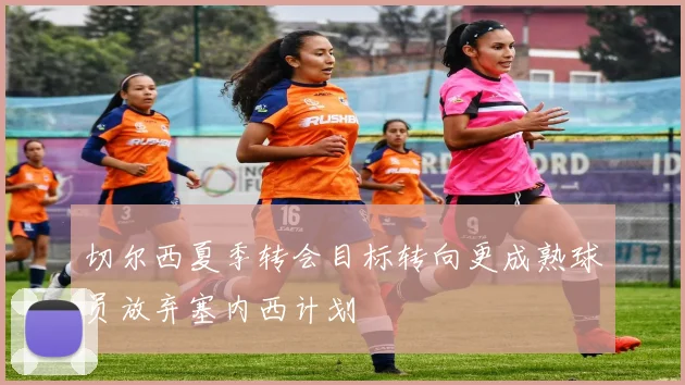 切尔西夏季转会目标转向更成熟球员放弃塞内西计划